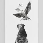 Portfolio image no. 2