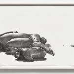 Portfolio image no. 14