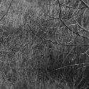 Madison Buffalo Jump near Logan, Montana; Digital Photograph 