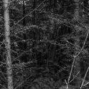Tolowa Dee-ni' Nation ancestral homeland near Smith River, California; Digital Photograph 