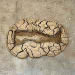  Impression of leg in dry, cracked clay on ground.