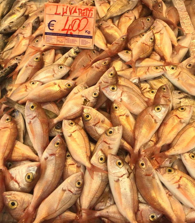fish market in italy 
